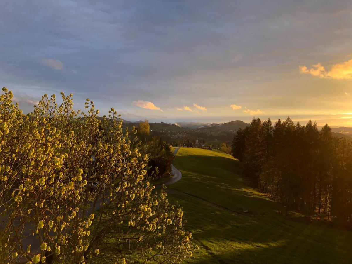 Hirschen Wald - Gasthaus & Baeckerei Exteriér fotografie