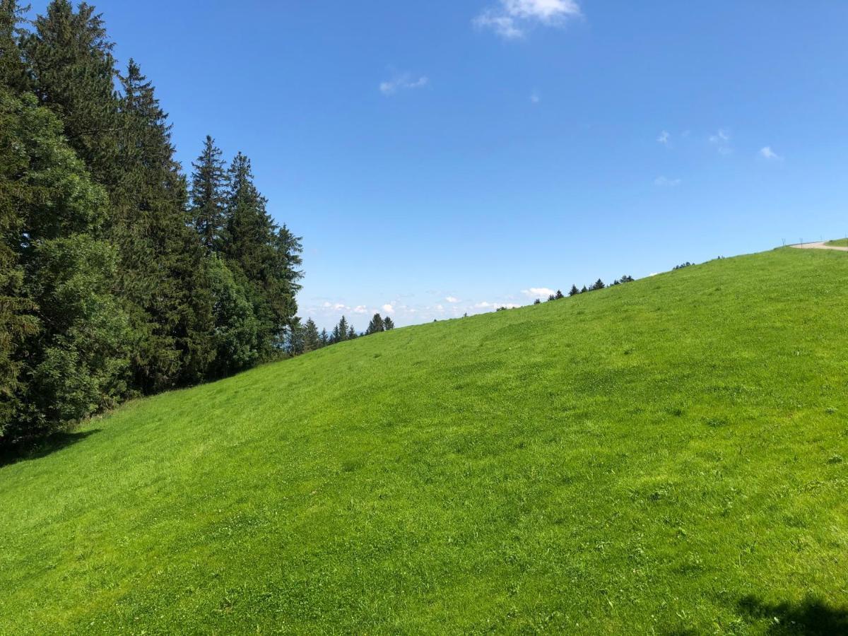 Hirschen Wald - Gasthaus & Baeckerei Exteriér fotografie