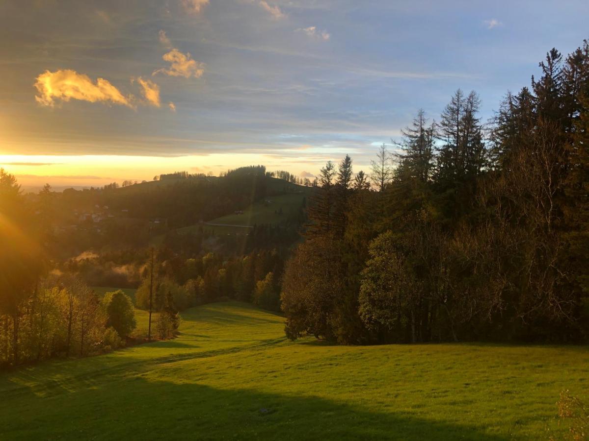 Hirschen Wald - Gasthaus & Baeckerei Exteriér fotografie