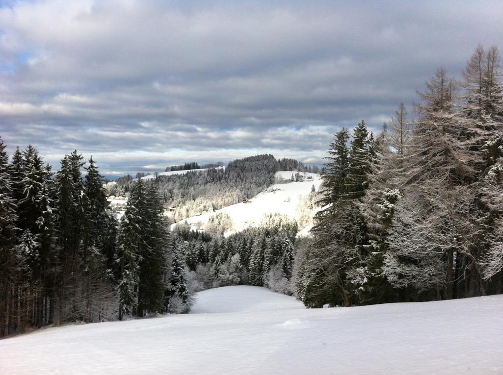 Hirschen Wald - Gasthaus & Baeckerei Exteriér fotografie