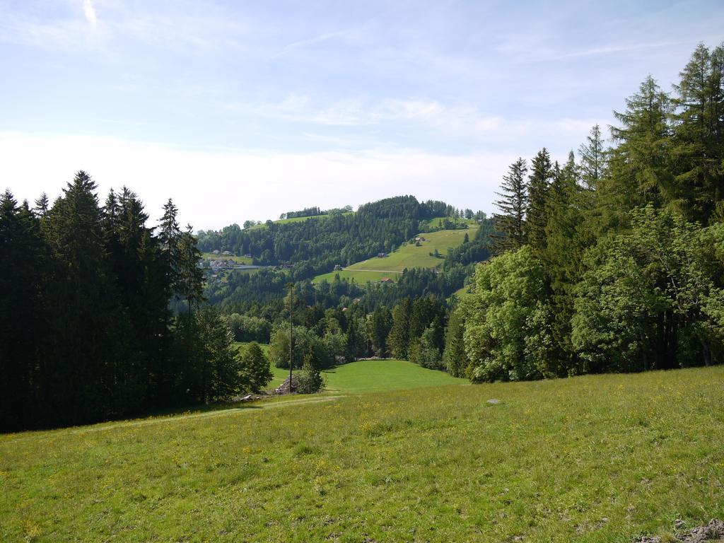 Hirschen Wald - Gasthaus & Baeckerei Exteriér fotografie